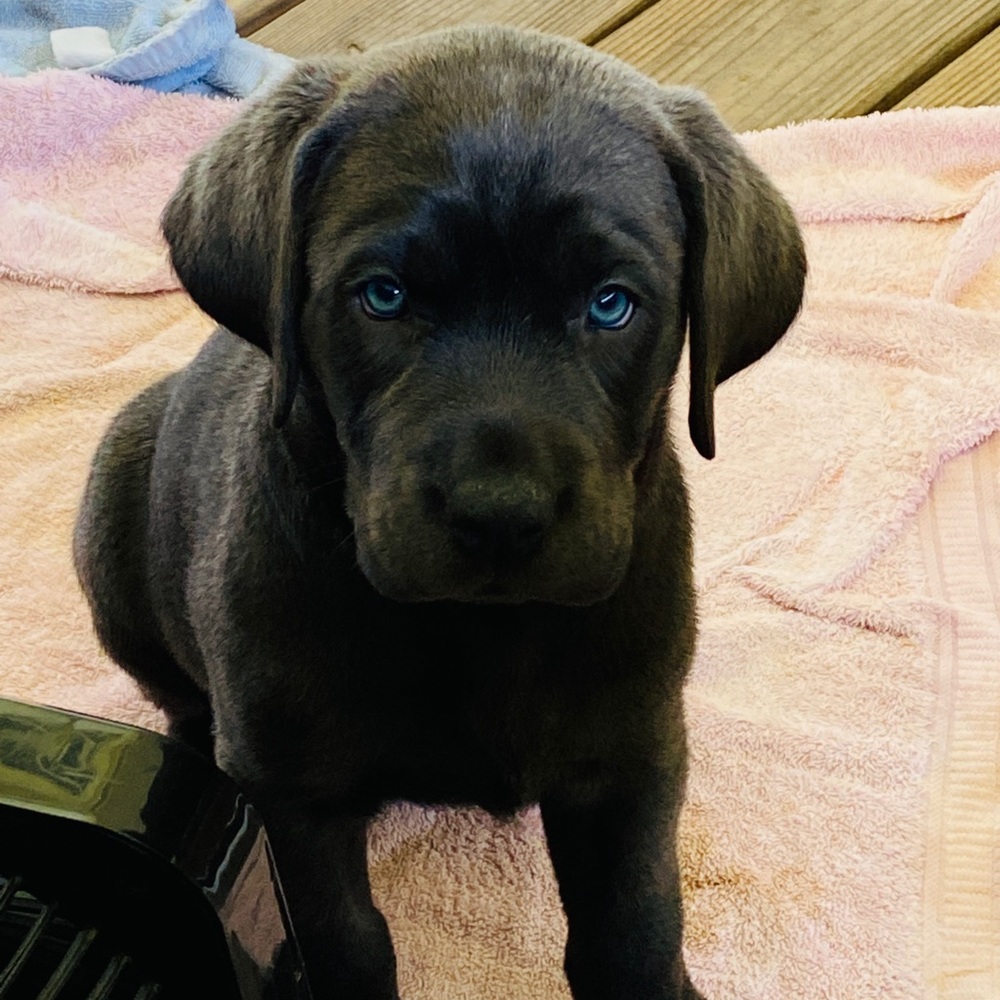 Meet your Posher, Tonya - Picture 4 of 15